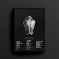 Capo Plaza | FERITE (Deluxe Edition)